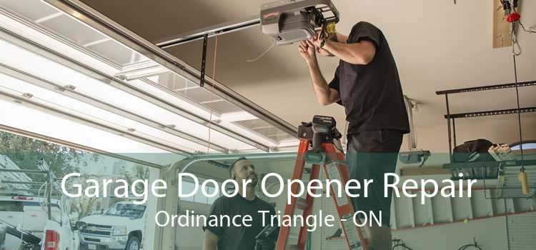 Garage Door Opener Repair Ordinance Triangle - ON