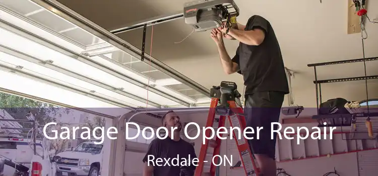  Garage Door Opener Repair Rexdale - ON