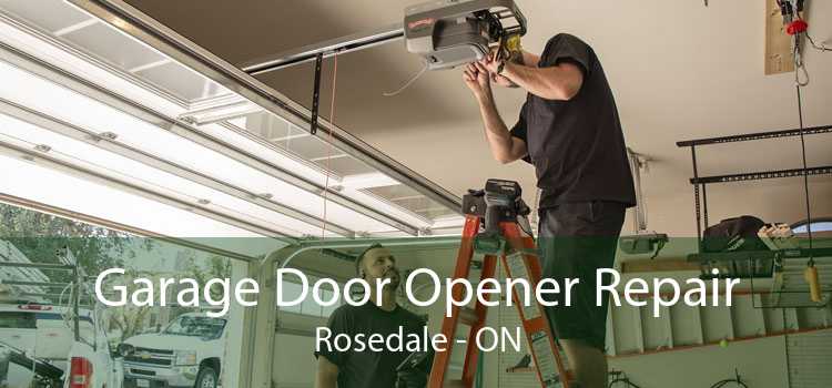 Garage Door Opener Repair Rosedale - ON