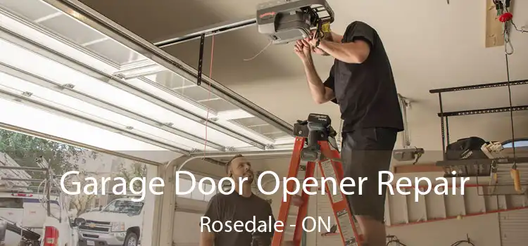  Garage Door Opener Repair Rosedale - ON
