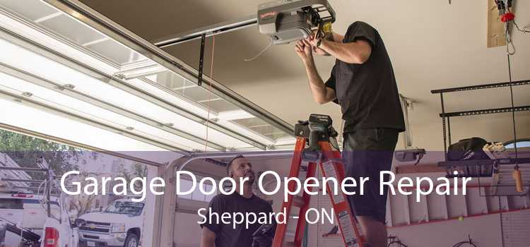 Garage Door Opener Repair Sheppard - ON