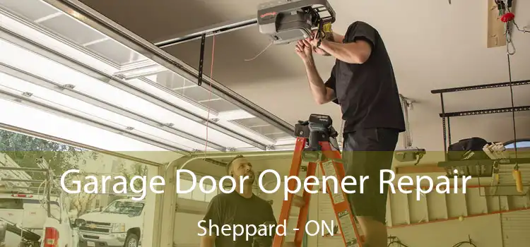  Garage Door Opener Repair Sheppard - ON