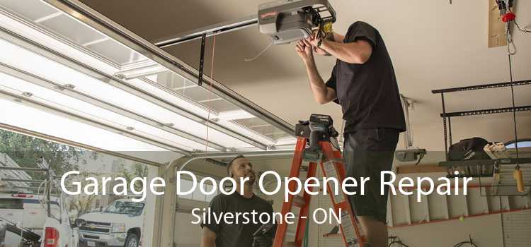 Garage Door Opener Repair Silverstone - ON
