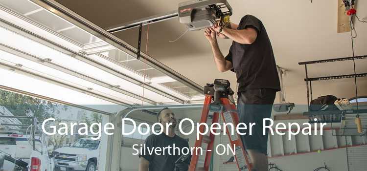 Garage Door Opener Repair Silverthorn - ON