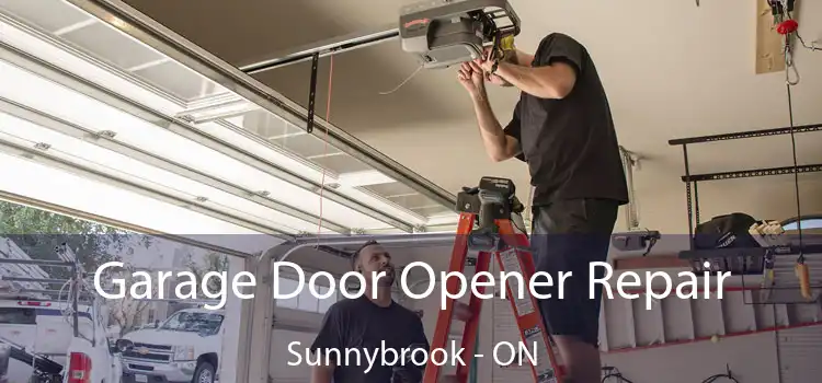  Garage Door Opener Repair Sunnybrook - ON