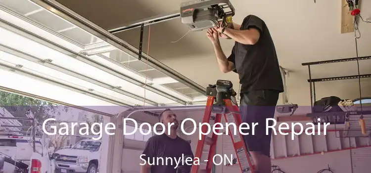  Garage Door Opener Repair Sunnylea - ON