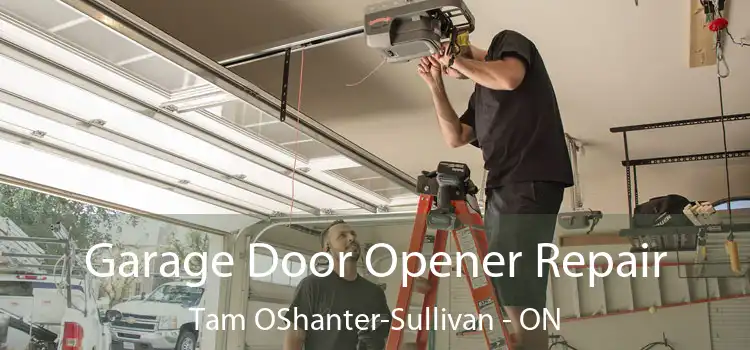  Garage Door Opener Repair Tam OShanter-Sullivan - ON