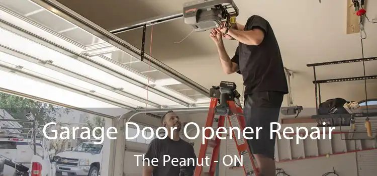  Garage Door Opener Repair The Peanut - ON
