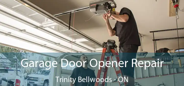  Garage Door Opener Repair Trinity Bellwoods - ON