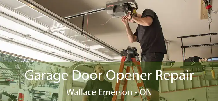  Garage Door Opener Repair Wallace Emerson - ON