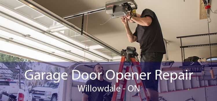 Garage Door Opener Repair Willowdale - ON