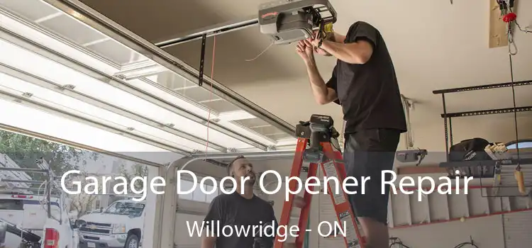  Garage Door Opener Repair Willowridge - ON