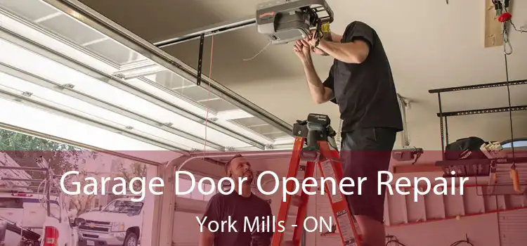  Garage Door Opener Repair York Mills - ON