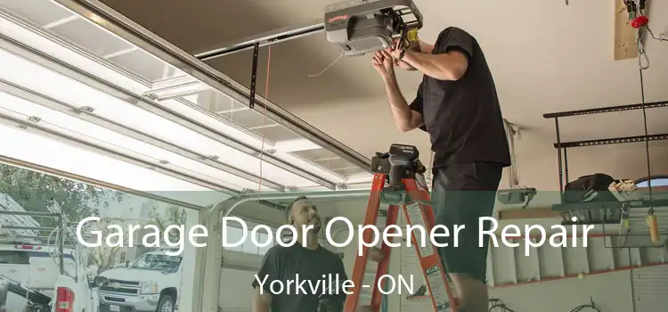  Garage Door Opener Repair Yorkville - ON