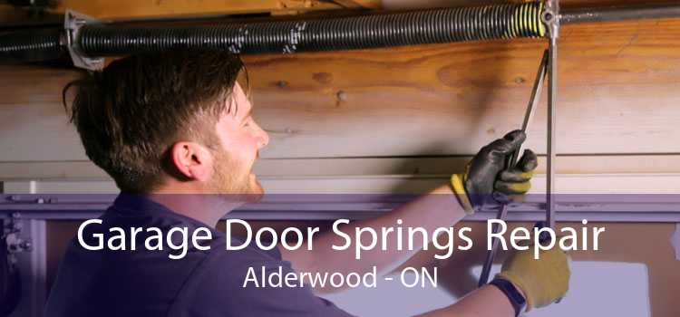 Garage Door Springs Repair Alderwood - ON