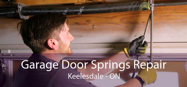 Garage Door Springs Repair Keelesdale - ON