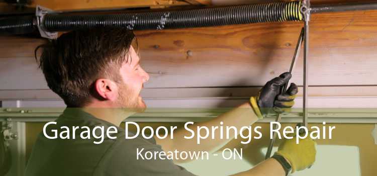 Garage Door Springs Repair Koreatown - ON