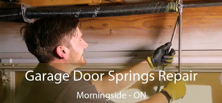  Garage Door Springs Repair Morningside - ON