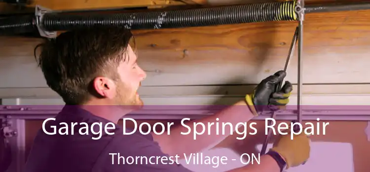  Garage Door Springs Repair Thorncrest Village - ON