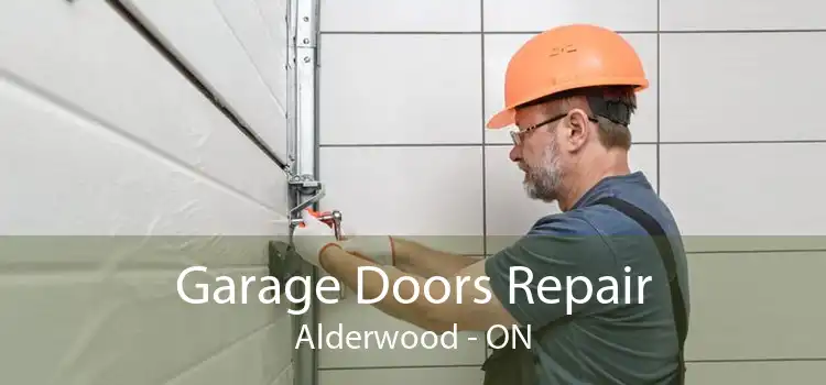  Garage Doors Repair Alderwood - ON