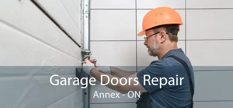  Garage Doors Repair Annex - ON