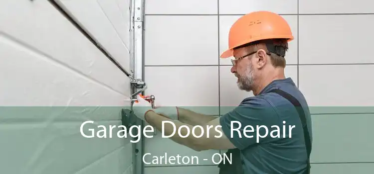  Garage Doors Repair Carleton - ON