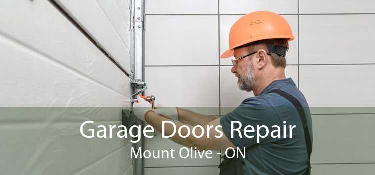 Garage Doors Repair Mount Olive - ON