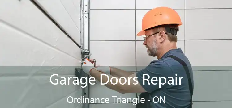  Garage Doors Repair Ordinance Triangle - ON