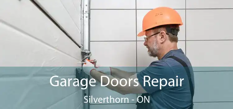  Garage Doors Repair Silverthorn - ON