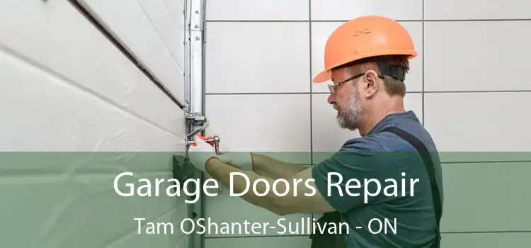  Garage Doors Repair Tam OShanter-Sullivan - ON