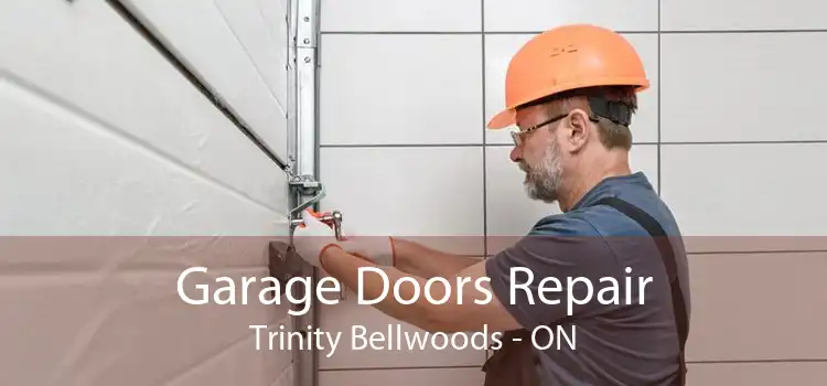  Garage Doors Repair Trinity Bellwoods - ON