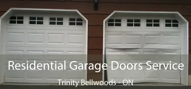  Residential Garage Doors Service Trinity Bellwoods - ON