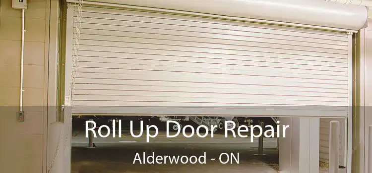  Roll Up Door Repair Alderwood - ON
