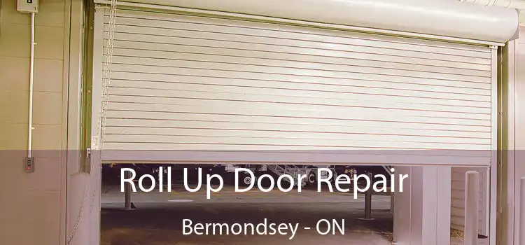  Roll Up Door Repair Bermondsey - ON