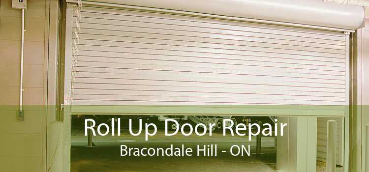 Roll Up Door Repair Bracondale Hill - ON