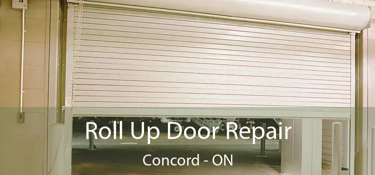  Roll Up Door Repair Concord - ON