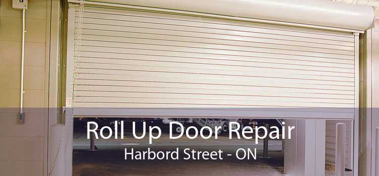 Roll Up Door Repair Harbord Street - ON