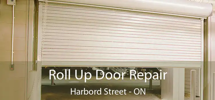  Roll Up Door Repair Harbord Street - ON