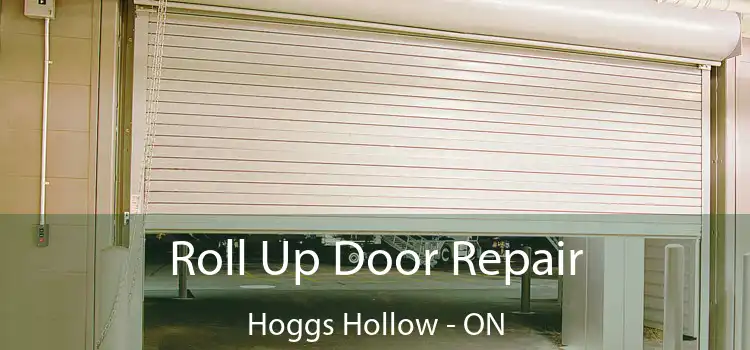  Roll Up Door Repair Hoggs Hollow - ON