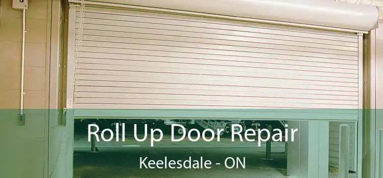  Roll Up Door Repair Keelesdale - ON