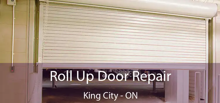  Roll Up Door Repair King City - ON