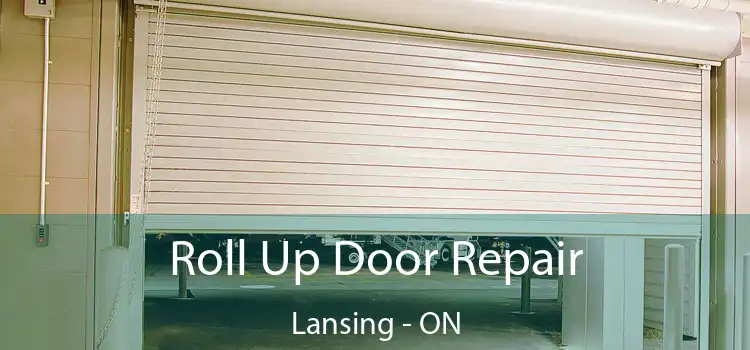  Roll Up Door Repair Lansing - ON