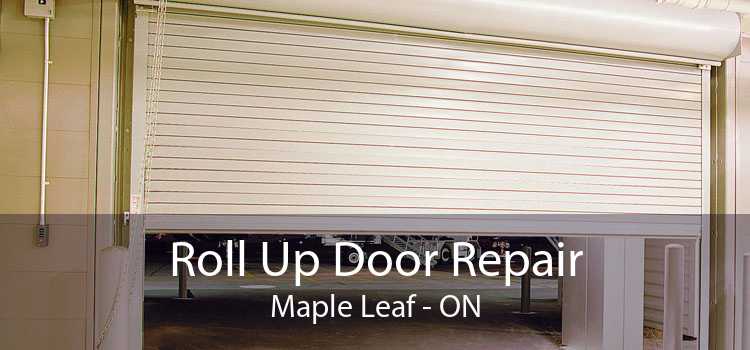Roll Up Door Repair Maple Leaf - ON