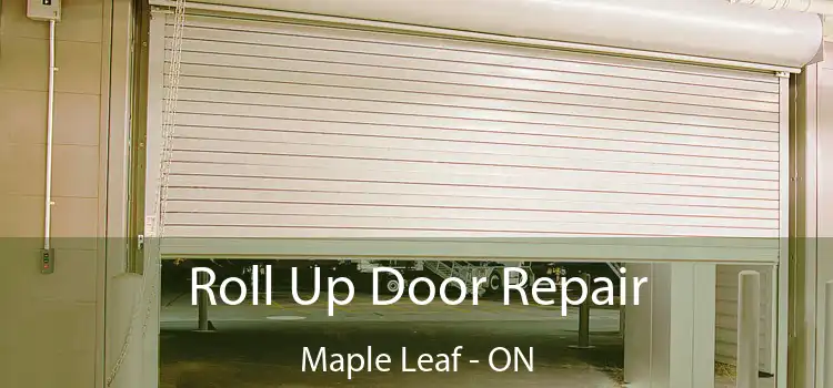  Roll Up Door Repair Maple Leaf - ON