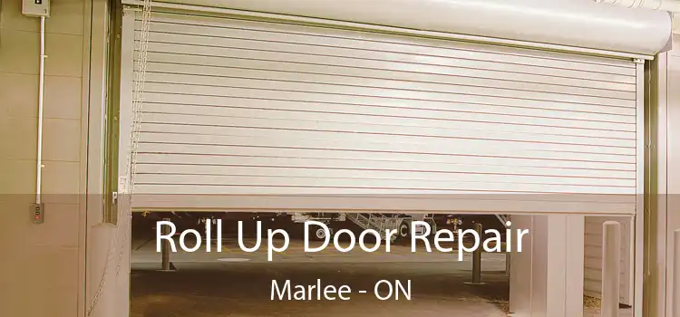  Roll Up Door Repair Marlee - ON