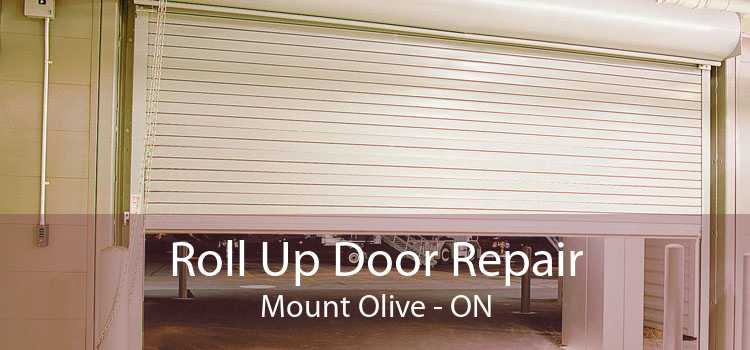 Roll Up Door Repair Mount Olive - ON