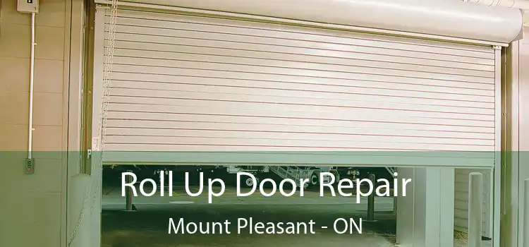  Roll Up Door Repair Mount Pleasant - ON