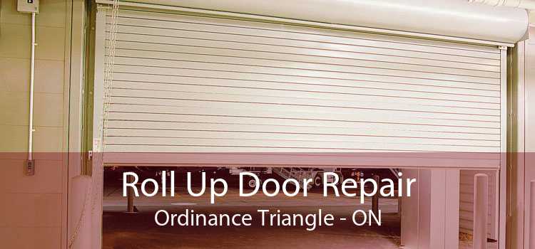Roll Up Door Repair Ordinance Triangle - ON