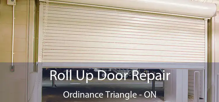  Roll Up Door Repair Ordinance Triangle - ON