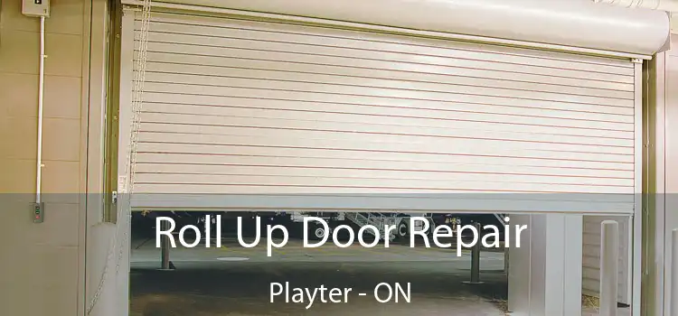  Roll Up Door Repair Playter - ON